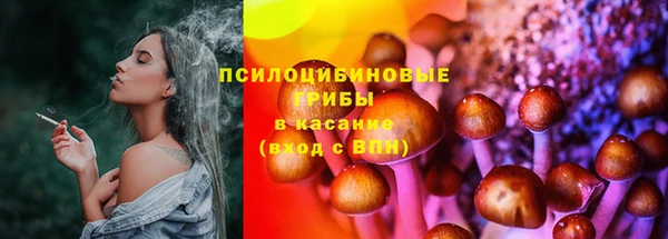 МДМА Новодвинск